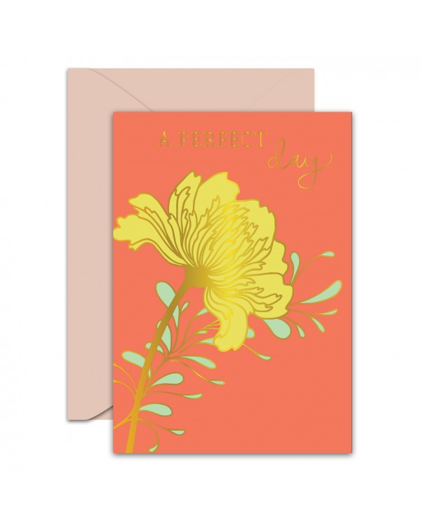 Greeting Card - GC2916-HAP002 - A PERFECT Day